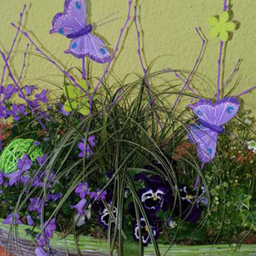 Foto Floristik für Frühling